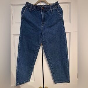Madewell Balloon Denim Pants in Wash